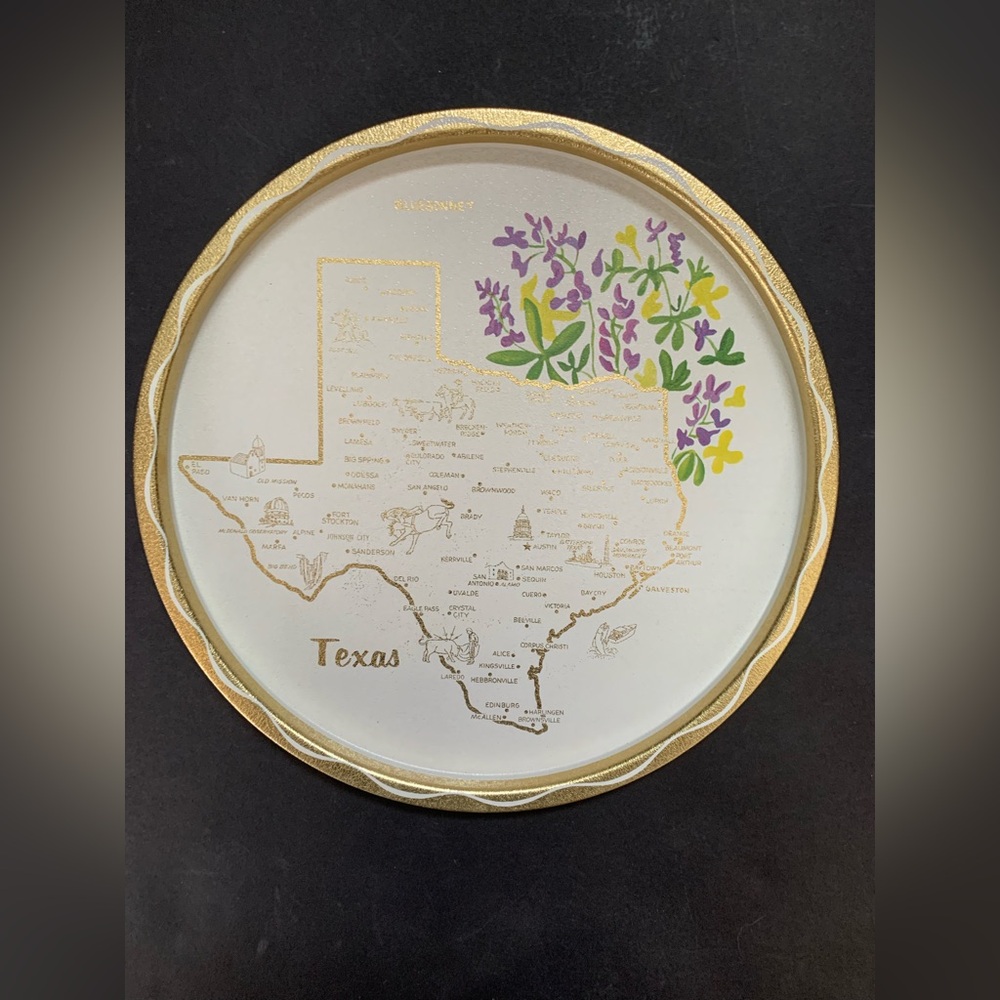 Vintage Metal Texas Souvenir Decorative tray/ wall decor